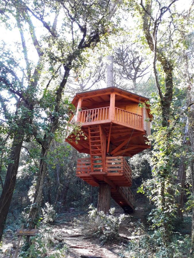 Cabanes Dosrius Canyamás Exterior foto